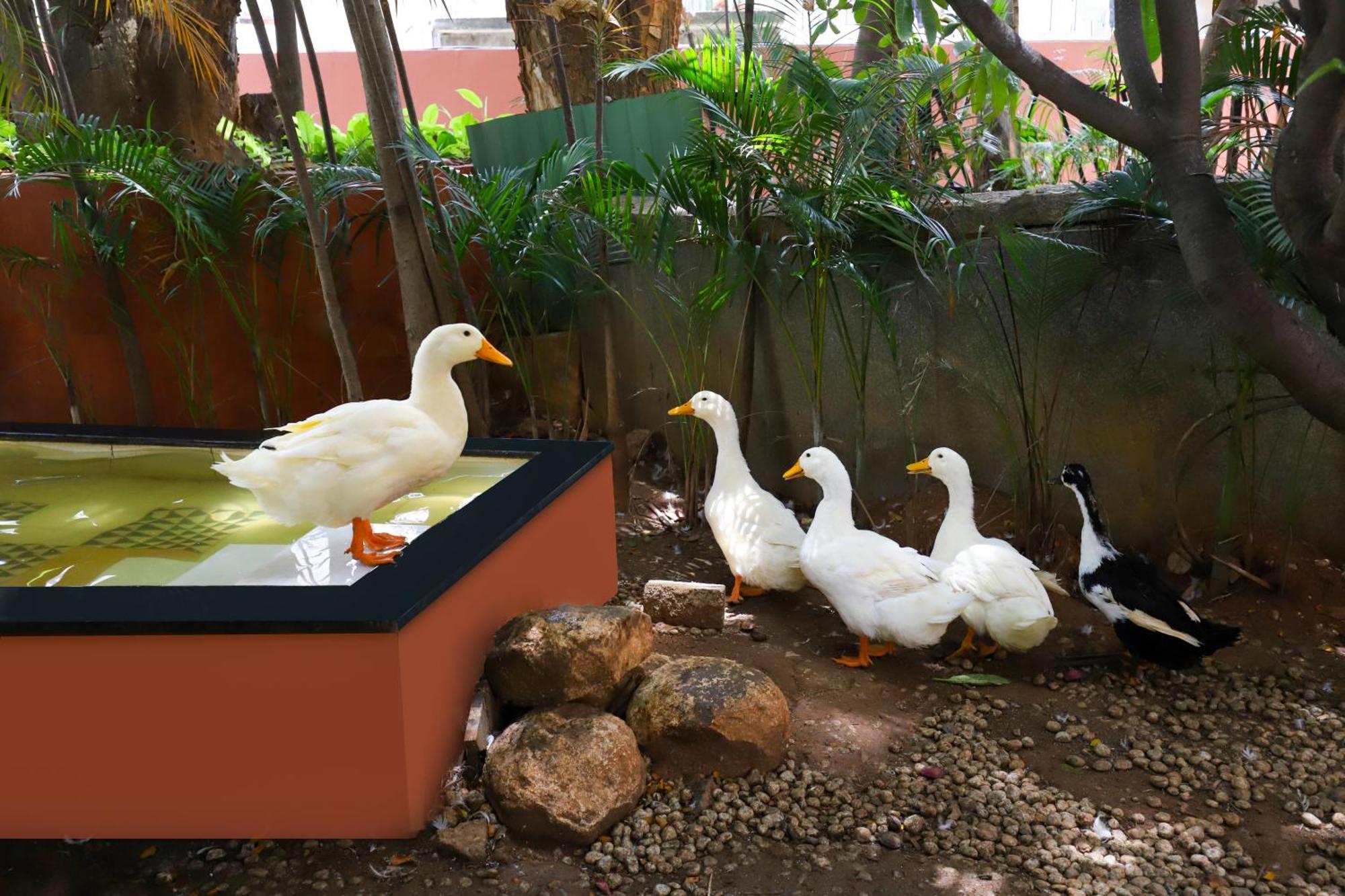 Lemon Tree Suites, Whitefield, Bengaluru Exteriör bild