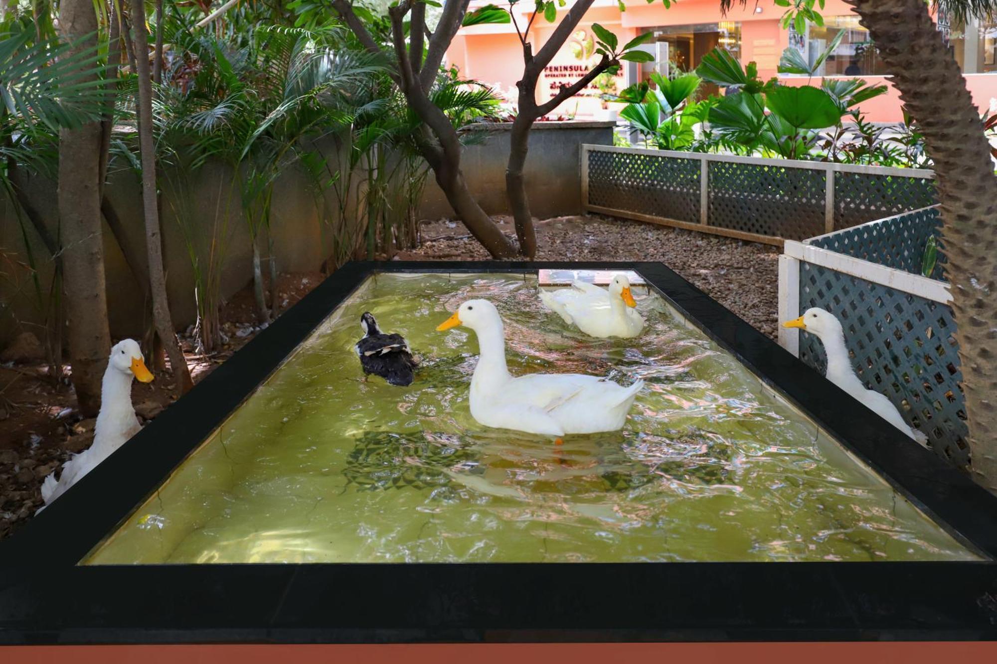 Lemon Tree Suites, Whitefield, Bengaluru Exteriör bild